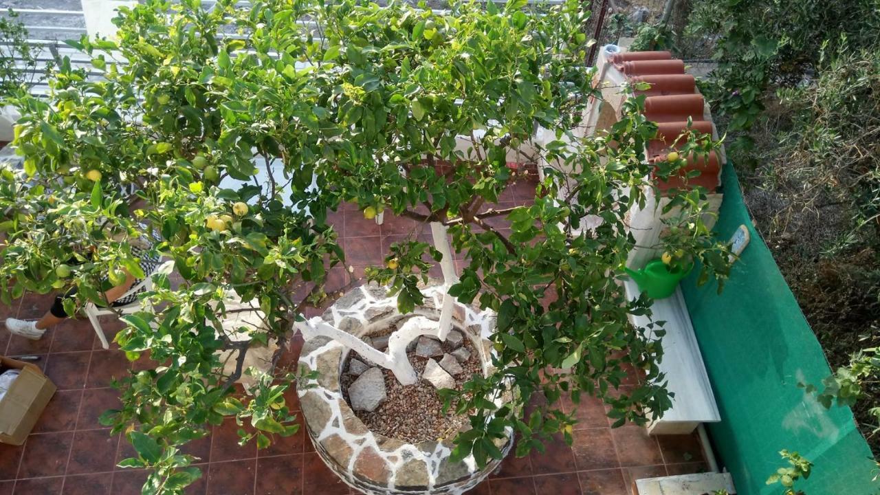 Laskas Apartment Σταλίδα Εξωτερικό φωτογραφία